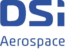 Logo DSI, Kunde von Schomburg Consulting